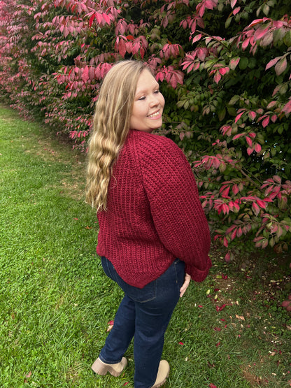Rich Wine Balloon Sleeve Top